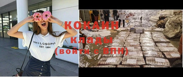 ГАЛЛЮЦИНОГЕННЫЕ ГРИБЫ Арсеньев