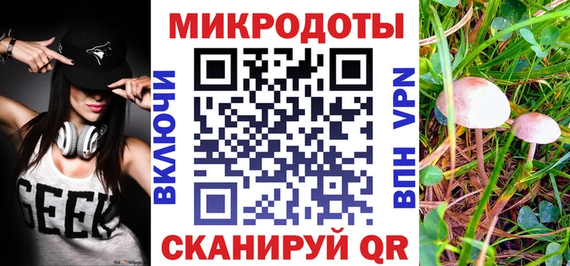 Псилоцибиновые грибы Psilocybine cubensis  купить наркотики сайты  Ахтубинск 