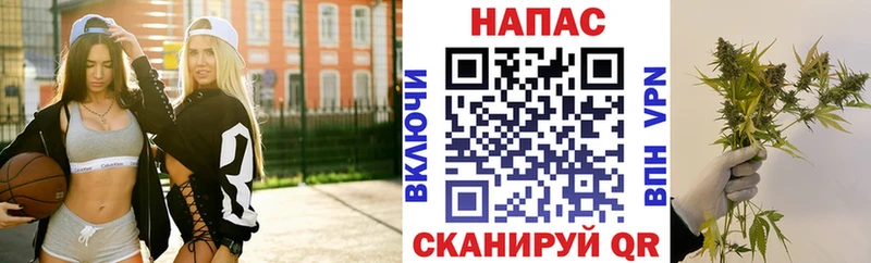 Марихуана сатива  Ахтубинск 